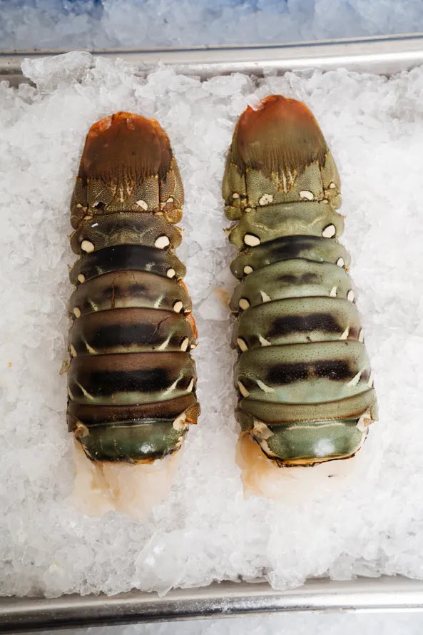 Australian Lobster Tails