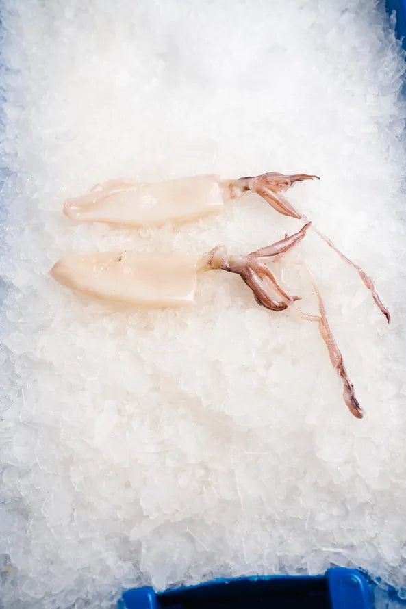 Fresh Cut Calamari Rings