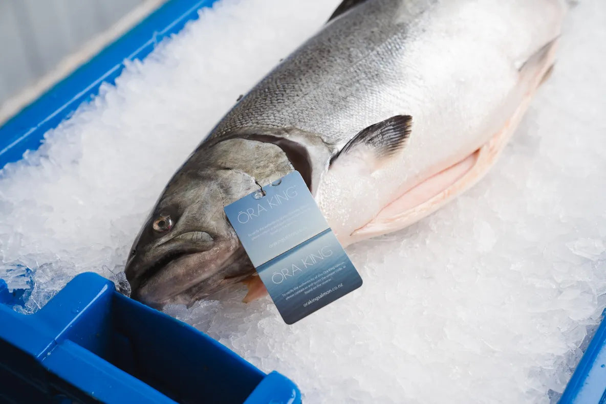 Ora King Salmon