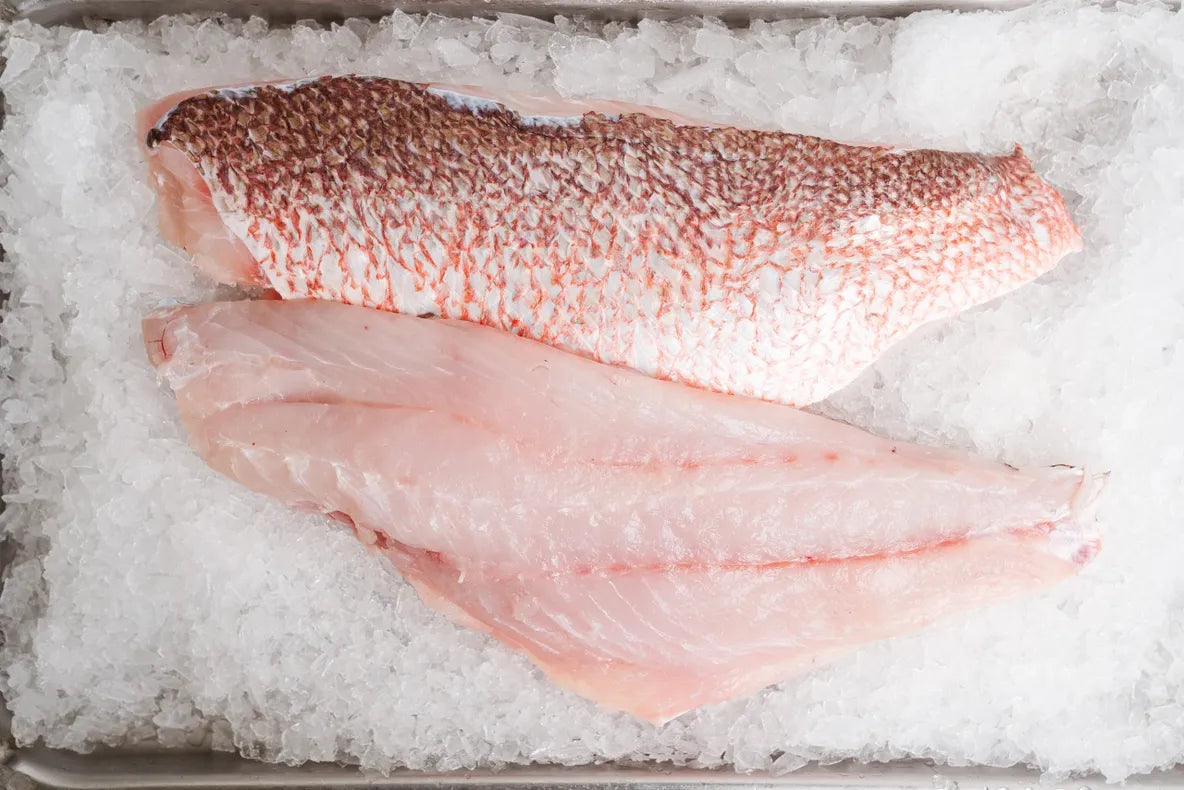 Red Snapper