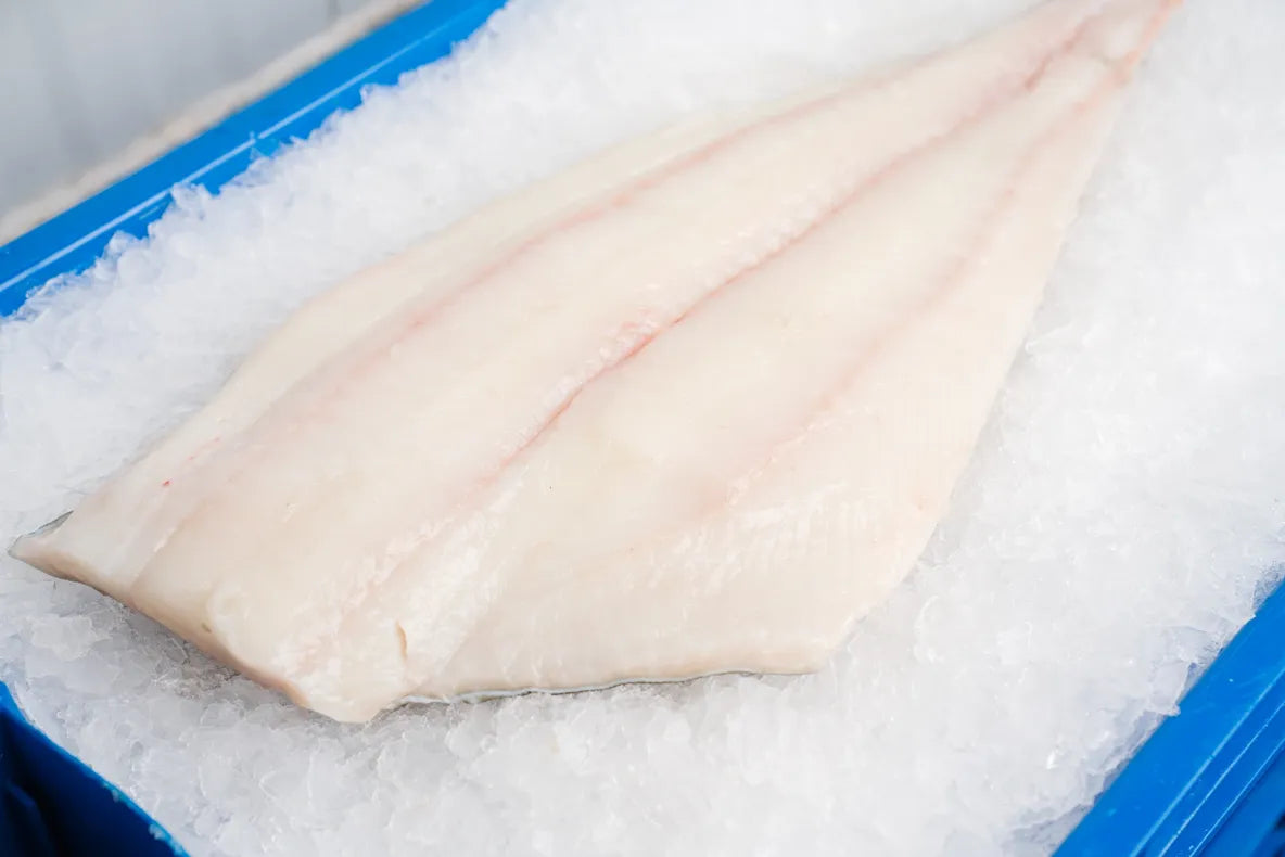 Wild Caught Alaskan Halibut