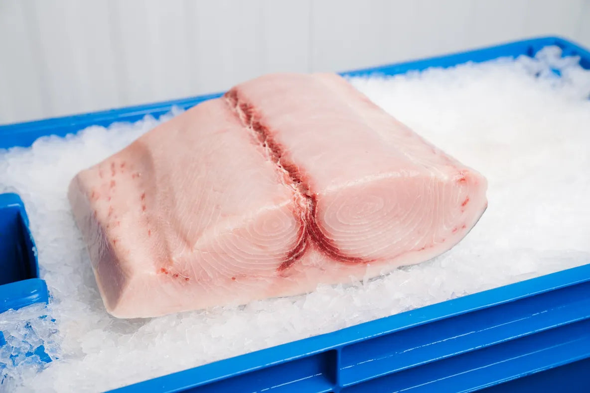 Wild Caught Swordfish