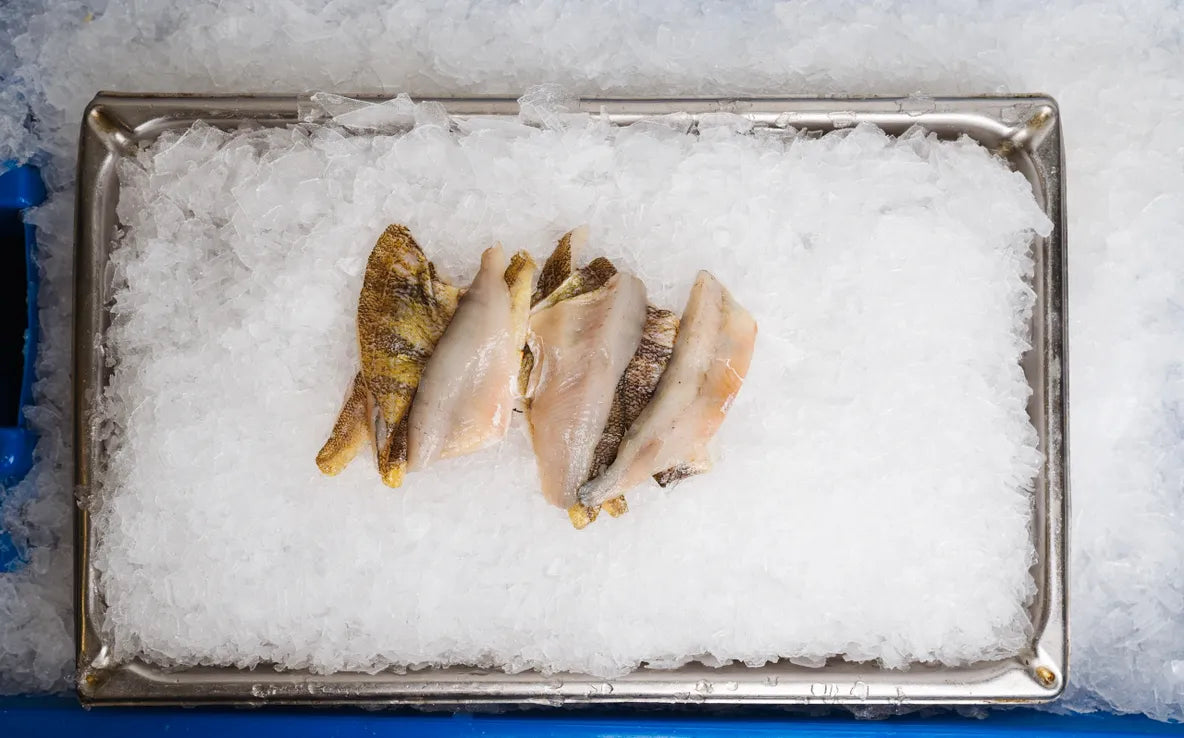 Yellow Lake Perch Filets