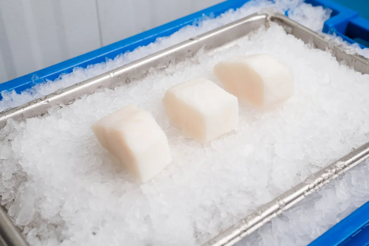 Chilean Sea Bass