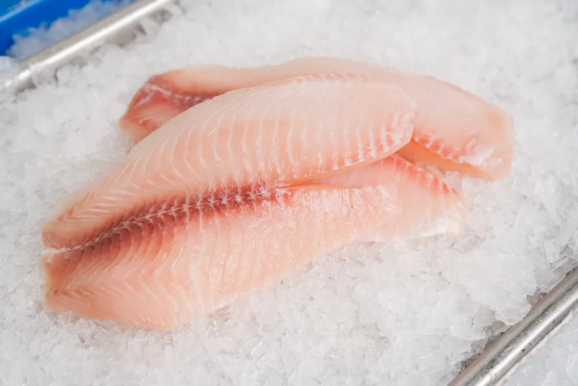 Tilapia